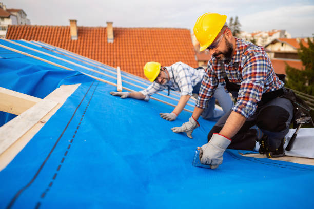 Best Metal Roofing Contractor  in Boulevard Gardens, FL