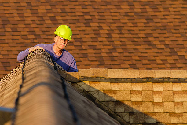 Best Shingle Roofing Installation  in Boulevard Gardens, FL
