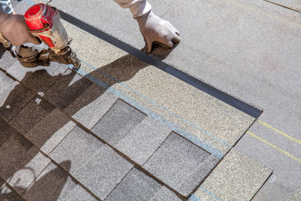 Best Residential Roofing Contractor  in Boulevard Gardens, FL